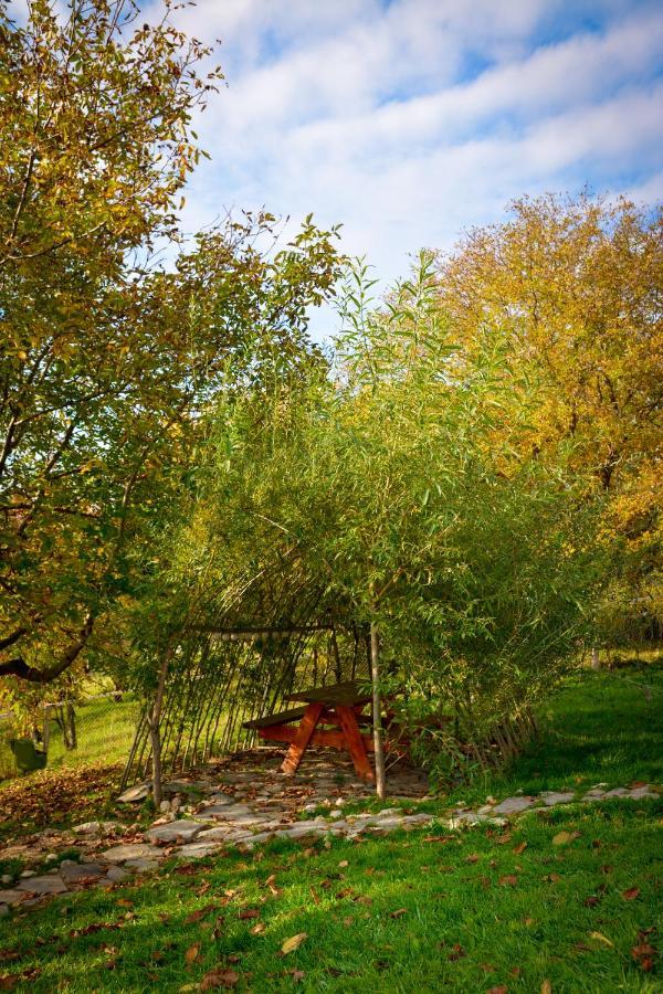 Casa Wezly Villa Măgura Exterior photo