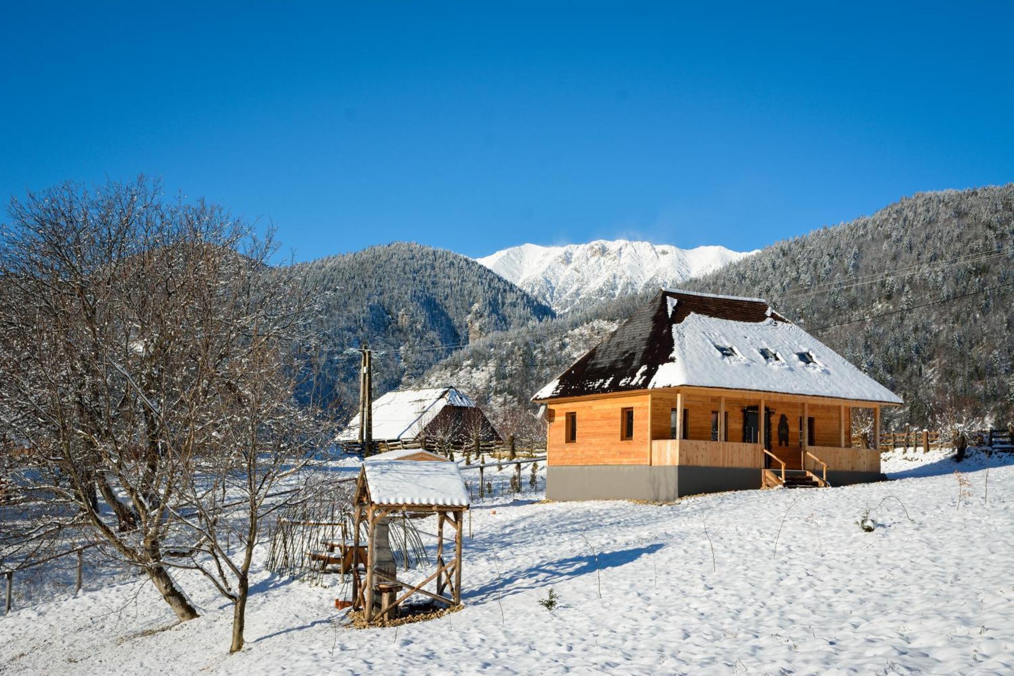 Casa Wezly Villa Măgura Exterior photo
